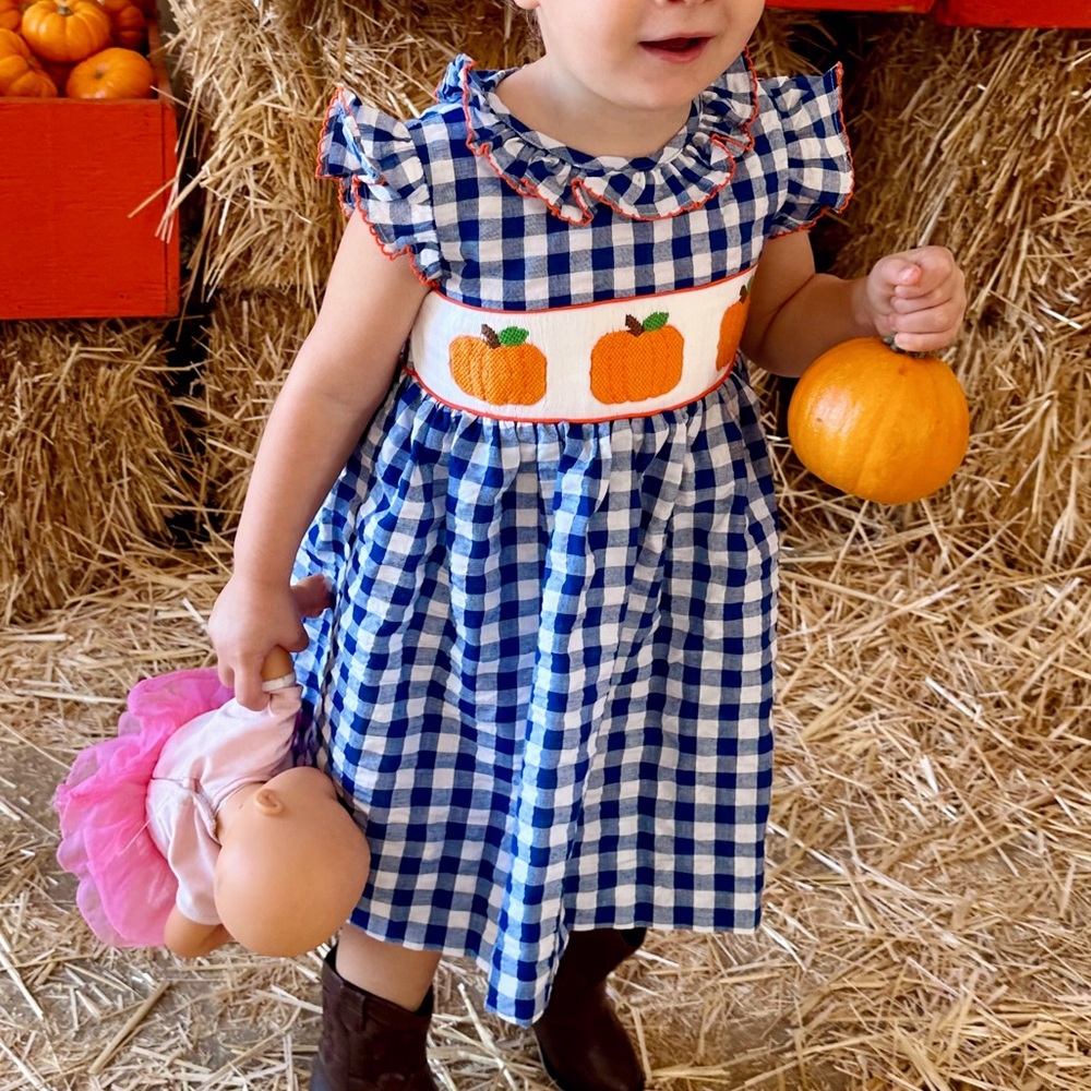 Smocked flamingo pumpkin dress toddler size 2T